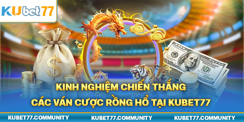 Kinh nghiệm chiến thắng các ván cược Rồng Hổ tại Kubet77